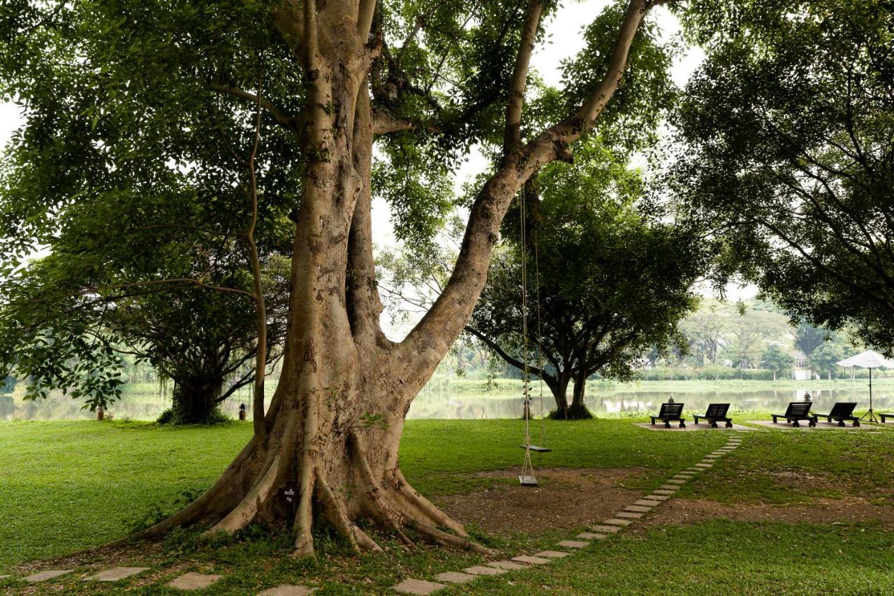 The Legend Chiang Rai Boutique River Resort & Spa Dış mekan fotoğraf